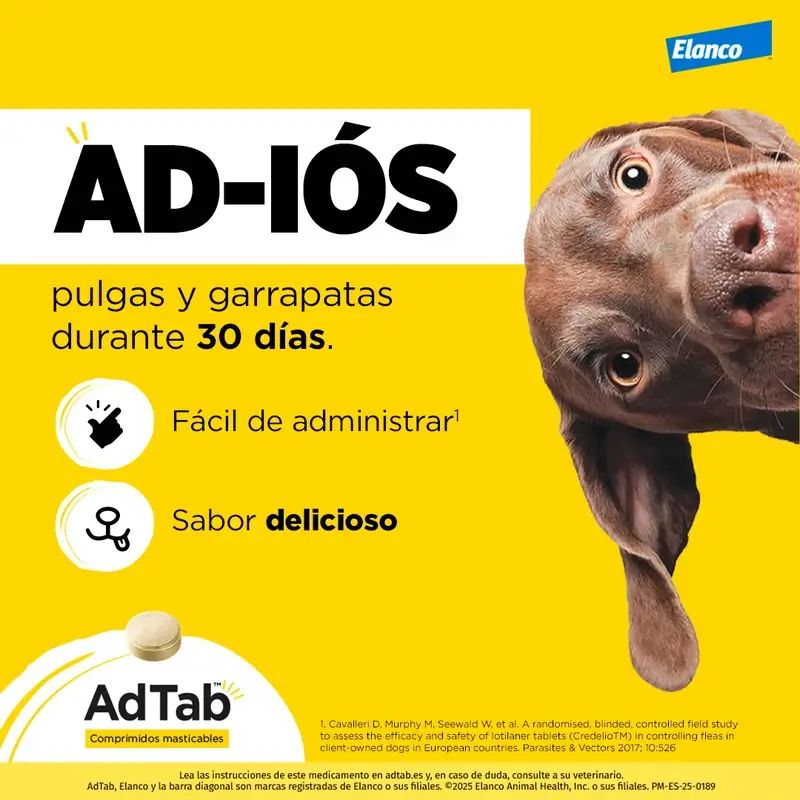 Adtab 900Mg Comprimés à Croquer Chiens 22-45Kg, 2 Comprimés - Image 7