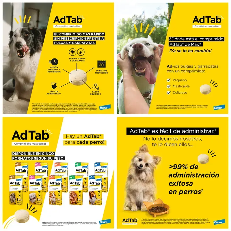 Adtab 900Mg Comprimés à Croquer Chiens 22-45Kg, 2 Comprimés - Image 9
