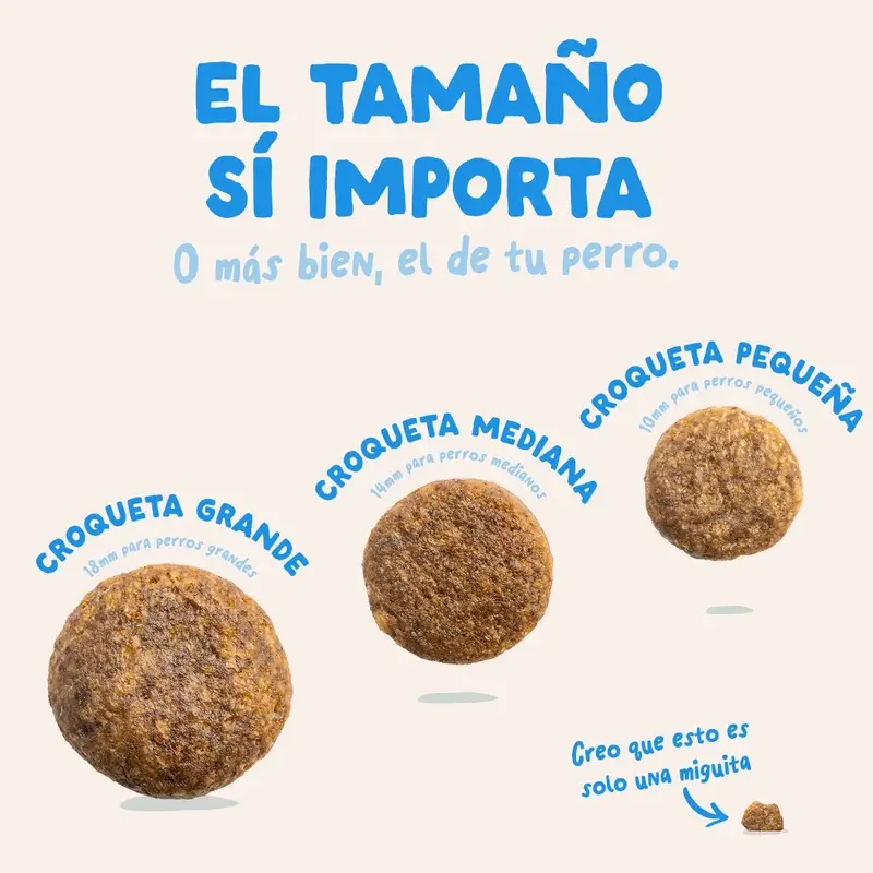 Edgard & Cooper Croquettes pour chiens miniatures adultes avec saumon frais, 0,7 kg - Image 8