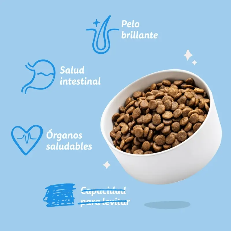Edgard & Cooper Croquettes pour chiens miniatures adultes avec saumon frais, 0,7 kg - Image 9