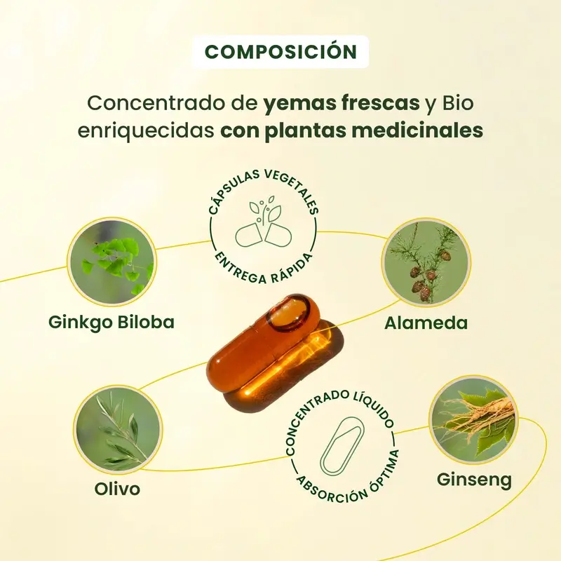 Herbalgem Gemmocaps Stress Protect Cognition, 30 gélules - Image 4