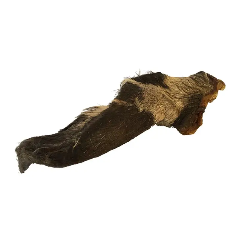 Oreille de bœuf Puromenu, 1 pièce - Image 2