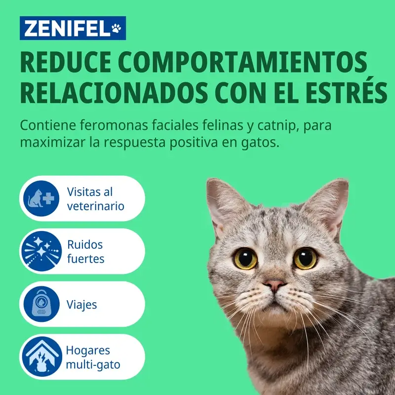 Virbac Zenifel Spray Chats, 60Ml - Image 2